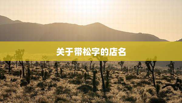 关于带松字的店名