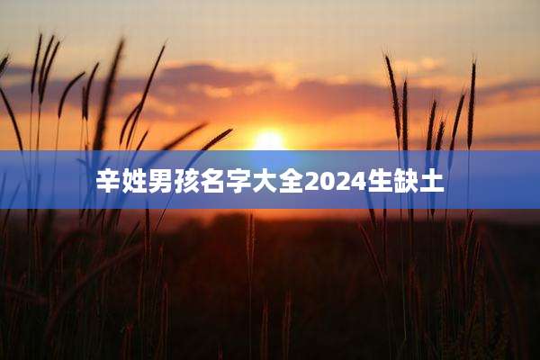 辛姓男孩名字大全2024生缺土