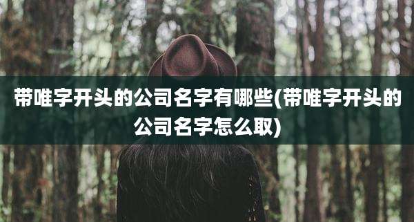 带唯字开头的公司名字有哪些(带唯字开头的公司名字怎么取)