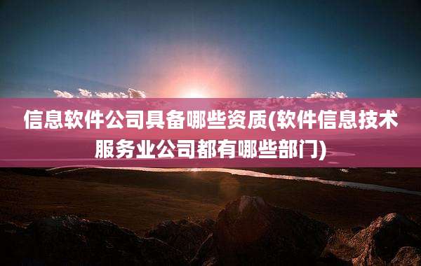 信息软件公司具备哪些资质(软件信息技术服务业公司都有哪些部门)