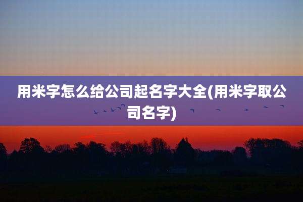 用米字怎么给公司起名字大全(用米字取公司名字)