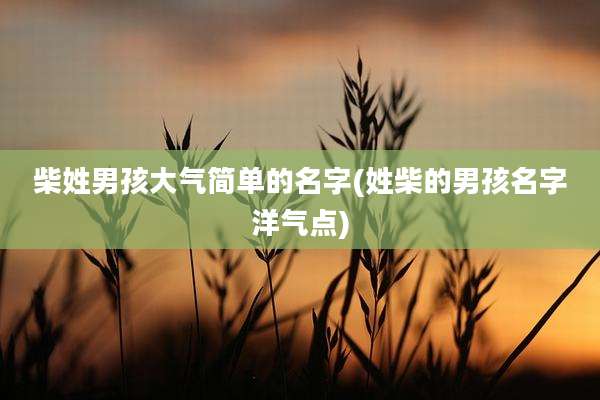 柴姓男孩大气简单的名字(姓柴的男孩名字洋气点)