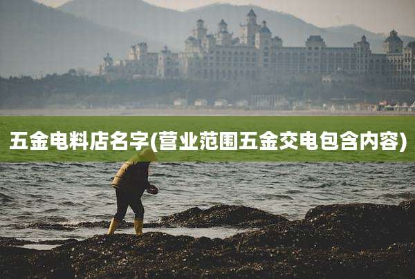 五金电料店名字(营业范围五金交电包含内容)