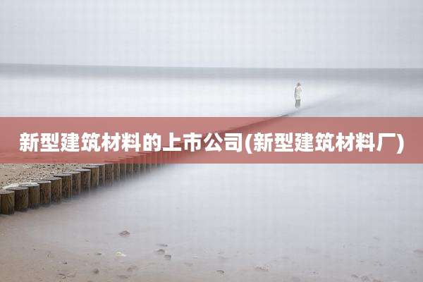 新型建筑材料的上市公司(新型建筑材料厂)