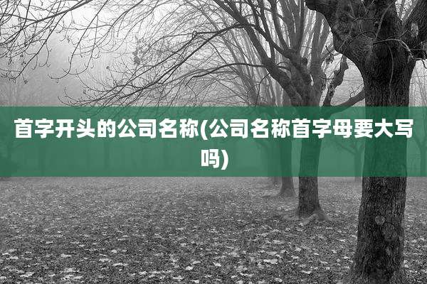首字开头的公司名称(公司名称首字母要大写吗)