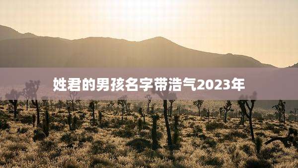 姓君的男孩名字带浩气2023年