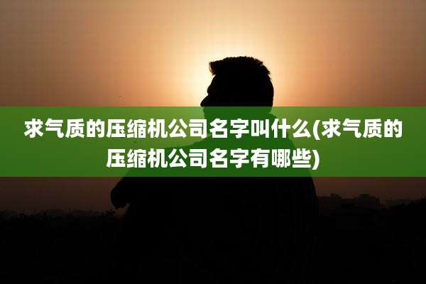 求气质的压缩机公司名字叫什么(求气质的压缩机公司名字有哪些)