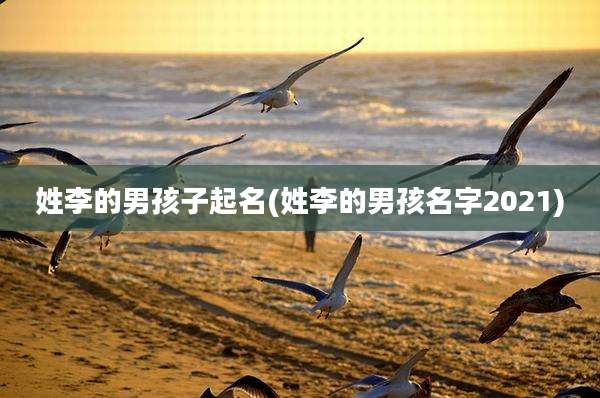 姓李的男孩子起名(姓李的男孩名字2021)