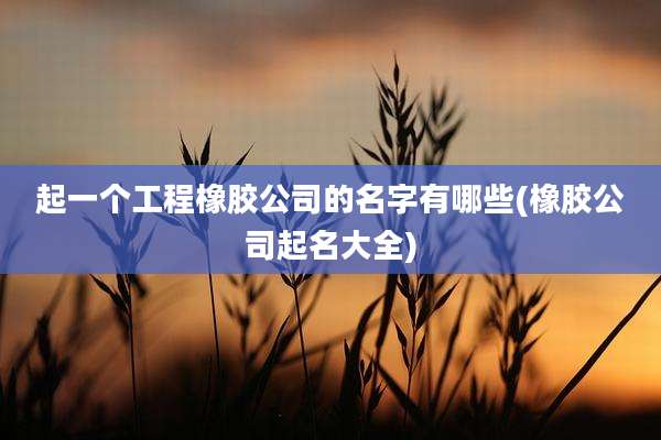 起一个工程橡胶公司的名字有哪些(橡胶公司起名大全)