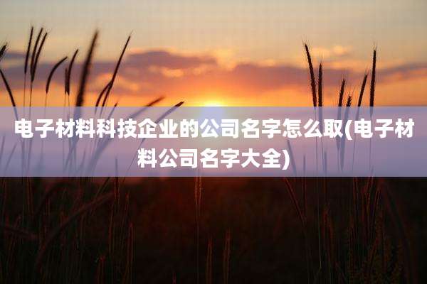 电子材料科技企业的公司名字怎么取(电子材料公司名字大全)