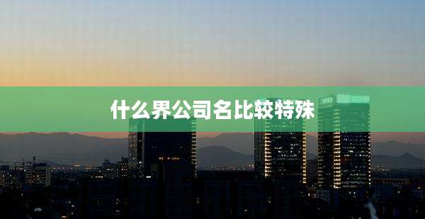 什么界公司名比较特殊