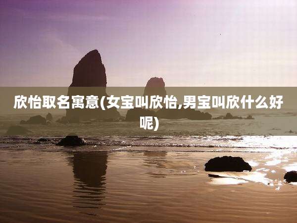 欣怡取名寓意(女宝叫欣怡,男宝叫欣什么好呢)