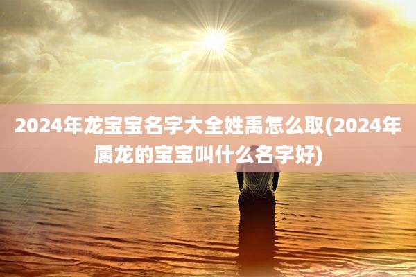 2024年龙宝宝名字大全姓禹怎么取(2024年属龙的宝宝叫什么名字好)
