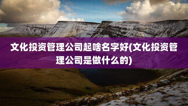 文化投资管理公司起啥名字好(文化投资管理公司是做什么的)