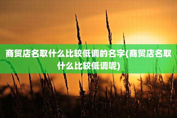 商贸店名取什么比较低调的名字(商贸店名取什么比较低调呢)