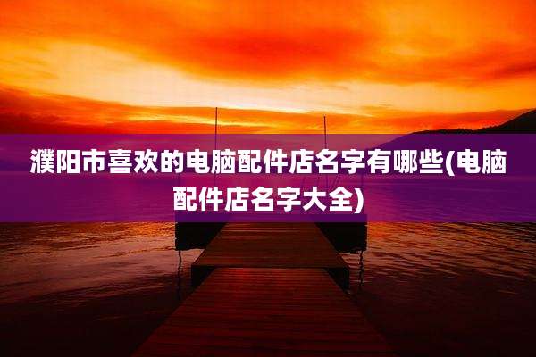 濮阳市喜欢的电脑配件店名字有哪些(电脑配件店名字大全)