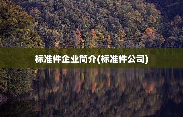 标准件企业简介(标准件公司)