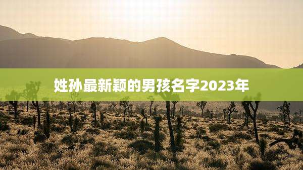 姓孙最新颖的男孩名字2023年