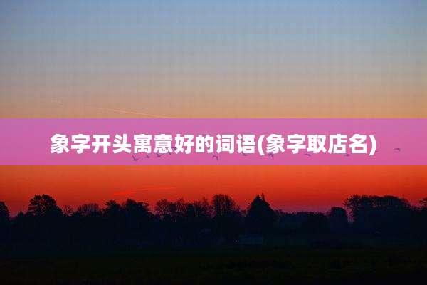 象字开头寓意好的词语(象字取店名)