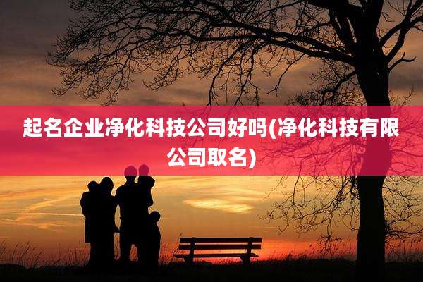 起名企业净化科技公司好吗(净化科技有限公司取名)