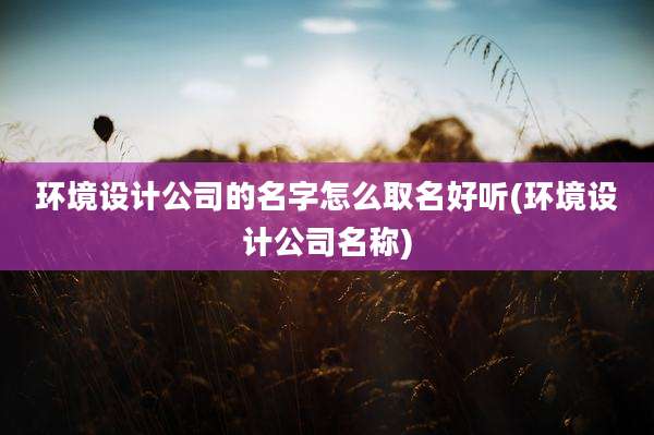 环境设计公司的名字怎么取名好听(环境设计公司名称)
