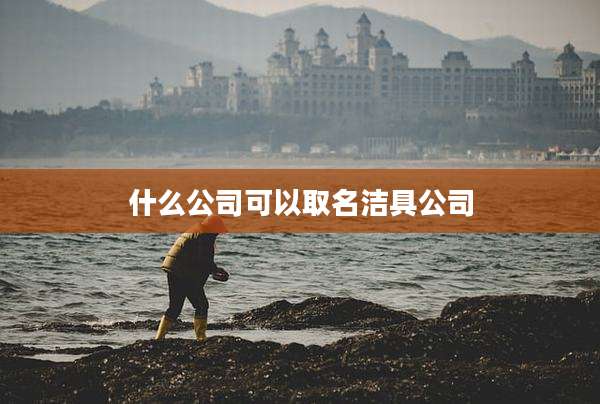 什么公司可以取名洁具公司