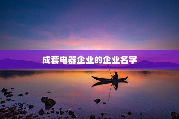 成套电器企业的企业名字