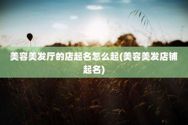 美容美发厅的店起名怎么起(美容美发店铺起名)