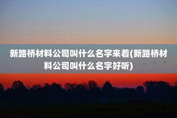 新路桥材料公司叫什么名字来着(新路桥材料公司叫什么名字好听)