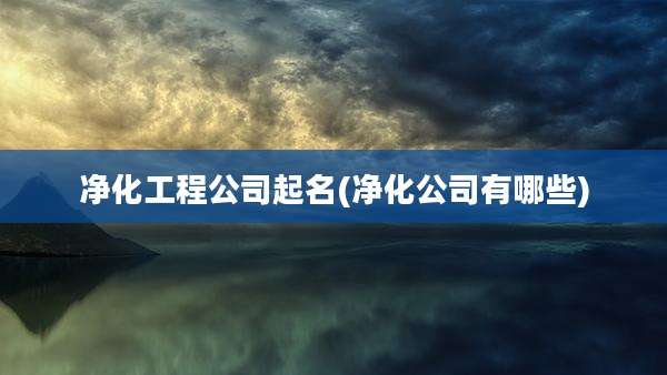 净化工程公司起名(净化公司有哪些)