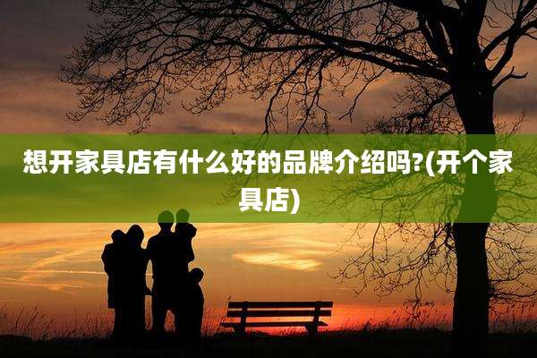 想开家具店有什么好的品牌介绍吗?(开个家具店)