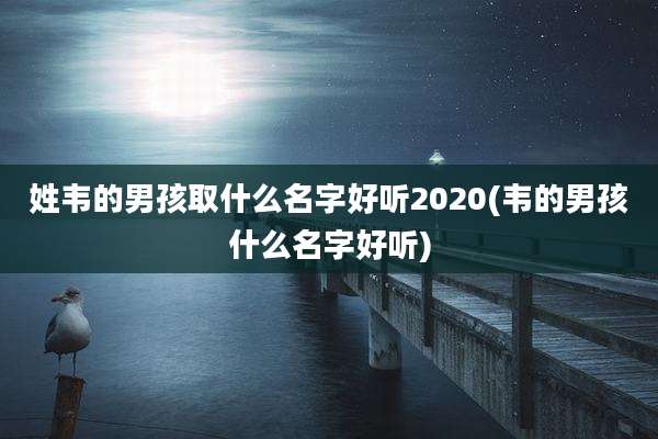姓韦的男孩取什么名字好听2020(韦的男孩什么名字好听)
