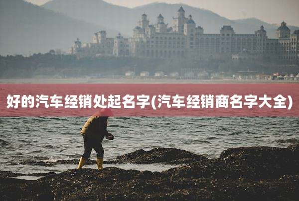 好的汽车经销处起名字(汽车经销商名字大全)