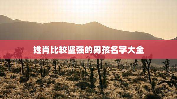 姓肖比较坚强的男孩名字大全