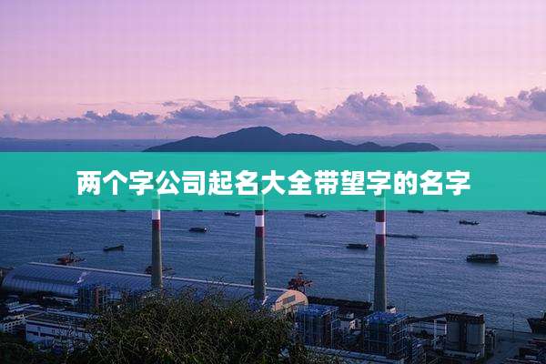 两个字公司起名大全带望字的名字