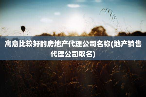 寓意比较好的房地产代理公司名称(地产销售代理公司取名)