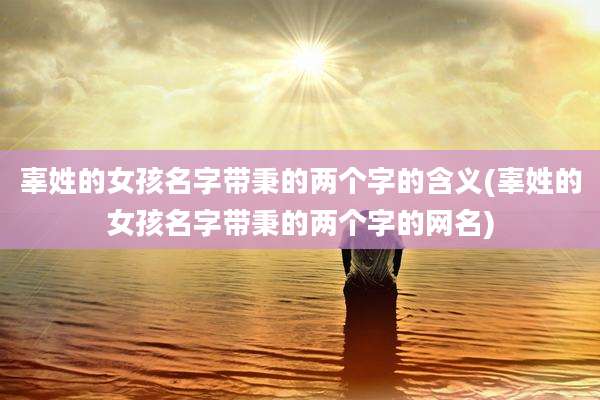 辜姓的女孩名字带秉的两个字的含义(辜姓的女孩名字带秉的两个字的网名)