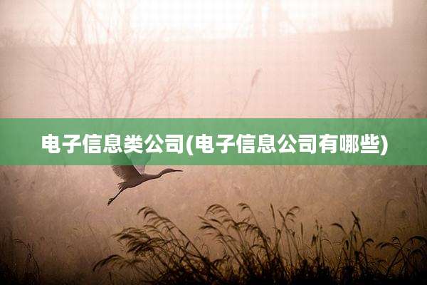 电子信息类公司(电子信息公司有哪些)