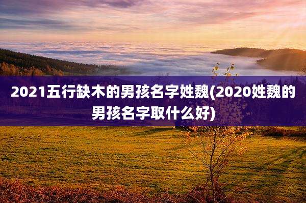 2021五行缺木的男孩名字姓魏(2020姓魏的男孩名字取什么好)