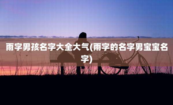 雨字男孩名字大全大气(雨字的名字男宝宝名字)