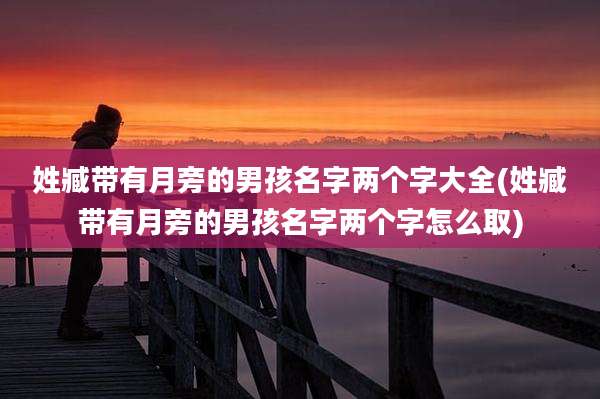 姓臧带有月旁的男孩名字两个字大全(姓臧带有月旁的男孩名字两个字怎么取)