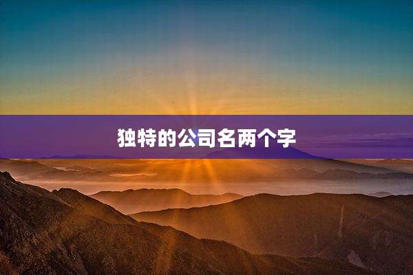 独特的公司名两个字