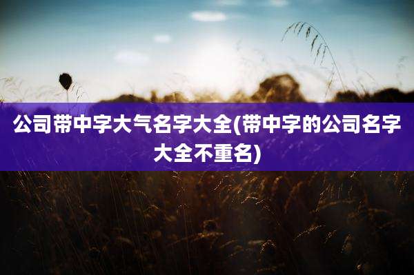 公司带中字大气名字大全(带中字的公司名字大全不重名)
