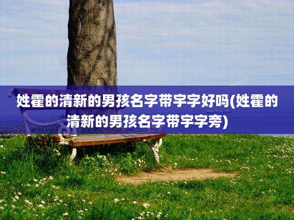 姓霍的清新的男孩名字带宇字好吗(姓霍的清新的男孩名字带宇字旁)