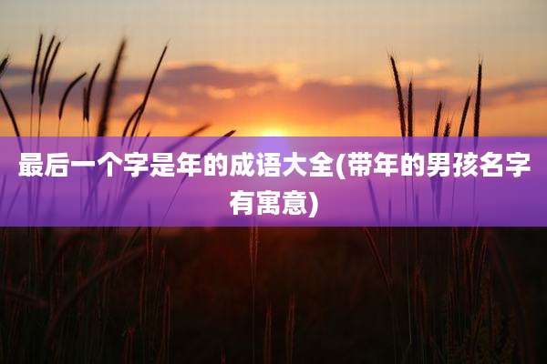 最后一个字是年的成语大全(带年的男孩名字有寓意)