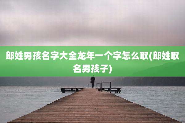 郎姓男孩名字大全龙年一个字怎么取(郎姓取名男孩子)