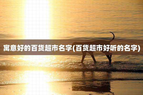 寓意好的百货超市名字(百货超市好听的名字)