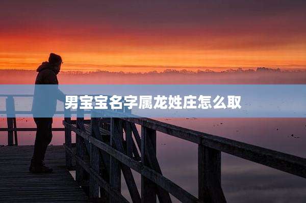 男宝宝名字属龙姓庄怎么取