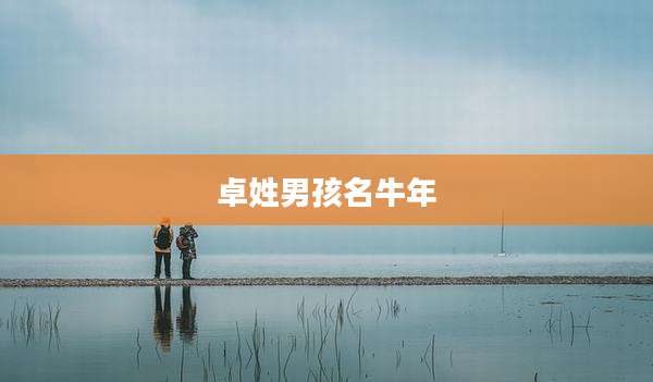 卓姓男孩名牛年