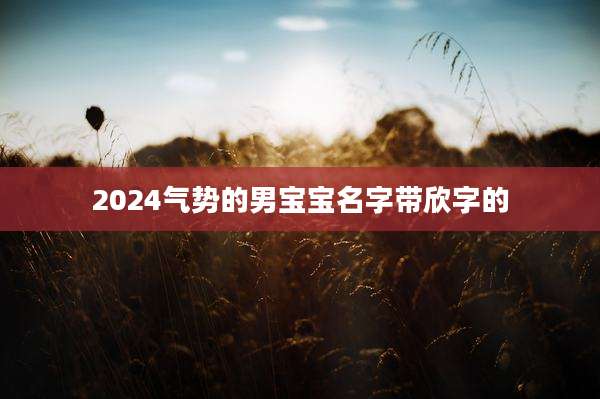 2024气势的男宝宝名字带欣字的